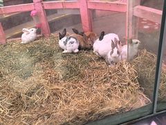 -正佳雨林生态植物园