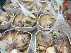 -鹿岛生活(熙地港店)