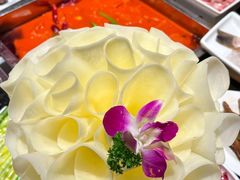 -红鼎坊·老成都火锅(新南门店)