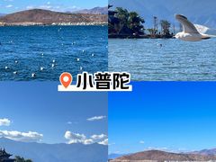 -小普陀