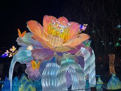 -老门东历史文化街区