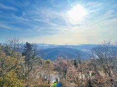-惠山国家森林公园