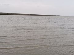 -南汇新城海滩