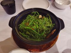 美极鲜豆角-106餐厅(山水文园店)