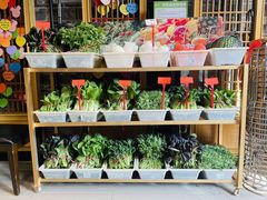 -塘人·老底子宁波菜小馆(南塘老街店)