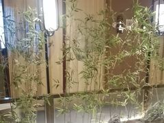 -宏宴·新京菜(望京店)