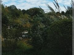 -上海吴淞炮台湾国家湿地公园
