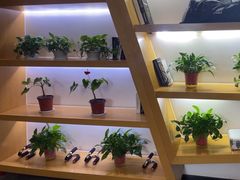 -帝豪斯健身俱乐部(市府恒隆广场店)