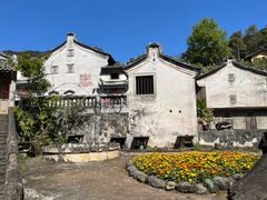 -雁南飞茶田景区