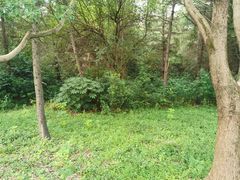 -昆山城市生态森林公园