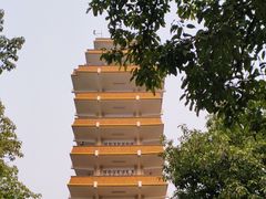 -鹅岭公园瞰胜楼