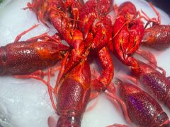 -红盔甲·小龙虾(定西路店)