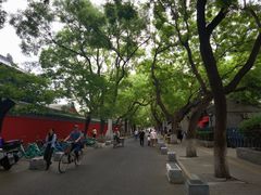 -北京国子监胡同