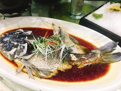 清蒸西海胖头鱼-雅和生态渔庄·宜城锅巴饭(龙灵山公园店)