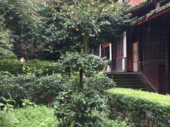 -峨眉山报国寺