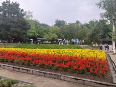 -富田农场
