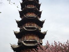 -龙华寺