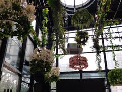 -聚缘·湘味音乐餐厅party(罗湖店)