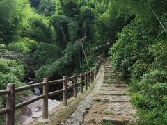 -白水冲瀑布