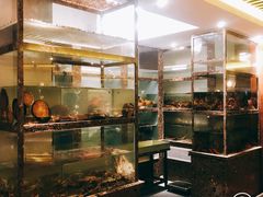 -甄御•海鲜新青岛菜(麦岛店)