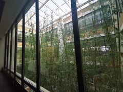 -真爱年华水疗健康运动中心(朱雀大街店)