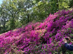 -南山风景名胜区
