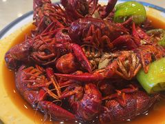 -杨氏青龙虾·羊蝎子(珠江路店)