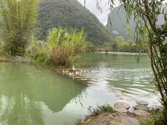 -靖西鹅泉风景区