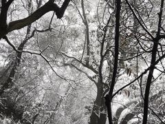 -杭州半山国家森林公园