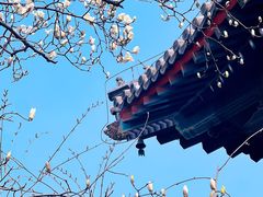 -红螺寺