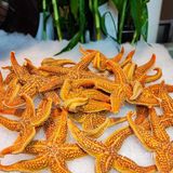 在北京，300+就可以实现海鲜自由！