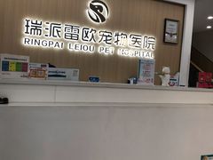-瑞派雷欧宠物医院·24h夜诊·心脏骨科牙科·全科重症转诊中心(无影山店)