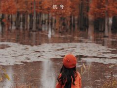 -白鹭湾湿地公园