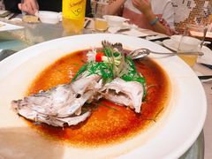 -金苑海鲜酒家(来魅力店)