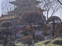 -横店圆明新园