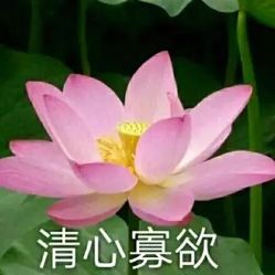-美莱医学美容医院
