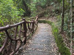 -海南热带雨林国家公园吊罗山景区