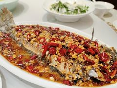 -光辉公鸡馆(事业小区店)