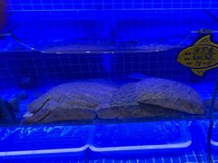 -北李妈妈菜·海肠捞饭(高新万达店)