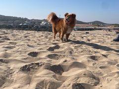 -库伦旗银沙湾旅游景区