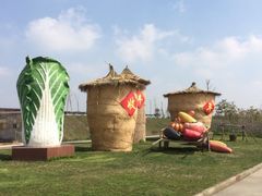 iphone_upload_pic-上海都市菜园