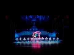 -顺德演艺中心大剧院