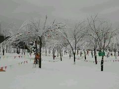 -北京鹿世界主题园