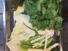 -金鼎雪山牦牛杂火锅(理县总店)