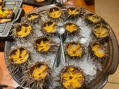 -月龍吟(朝龙汇店)