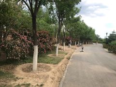 -永定河休闲森林公园