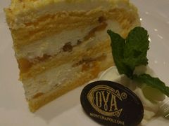 -COVA(上海K11艺术中心店)
