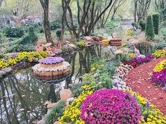 -上海共青森林公园