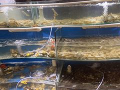 -四海蒸鲜蒸汽海鲜自助(北戴河店)