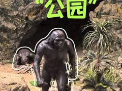 -北京周口店北京人遗址博物馆